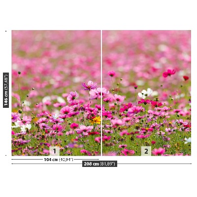 Wandtapete Cosmos blumen