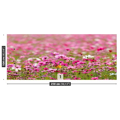 Wandtapete Cosmos blumen