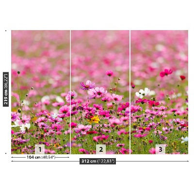 Wandtapete Cosmos blumen