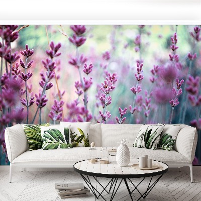 Motivtapete Lavendel grün
