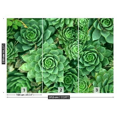Motivtapete Sedum grün