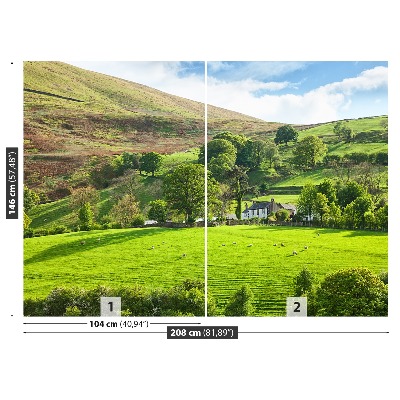 Wandtapete Frühling cumbria