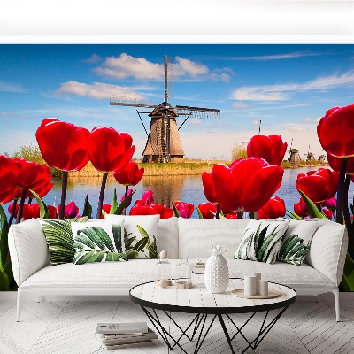 Wandtapete Niederlande windmühlen