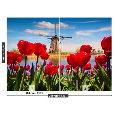 Wandtapete Niederlande windmühlen