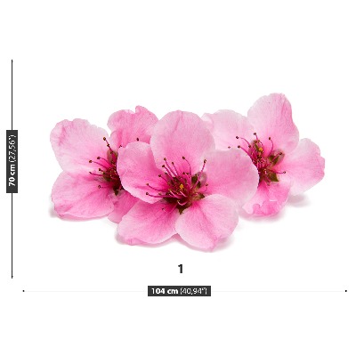 Motivtapete Kirschblüten