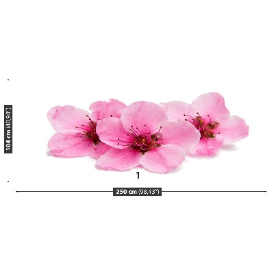 Motivtapete Kirschblüten