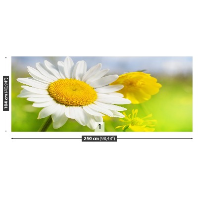 Motivtapete Kamillenblüten