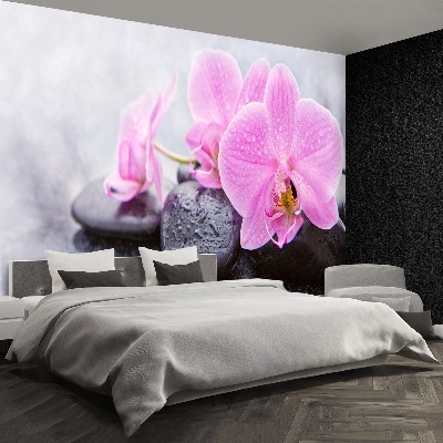 Motivtapete Orchidee steine