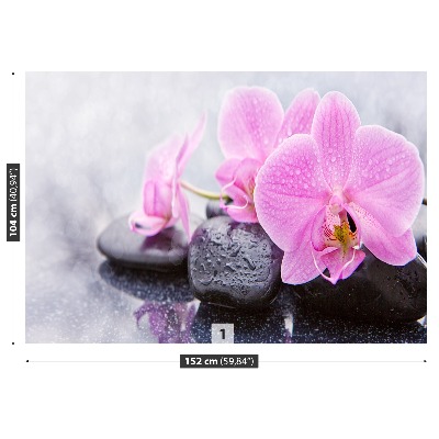 Motivtapete Orchidee steine