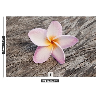 Motivtapete Frangipani holz