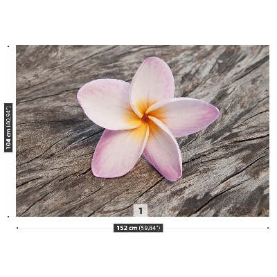 Motivtapete Frangipani holz