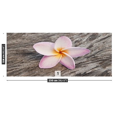 Motivtapete Frangipani holz