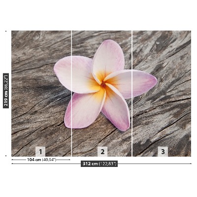 Motivtapete Frangipani holz