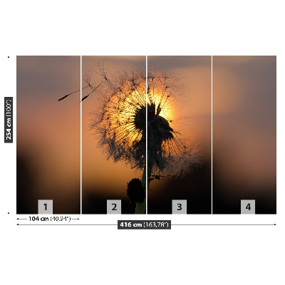 Motivtapete Dandelion sonne