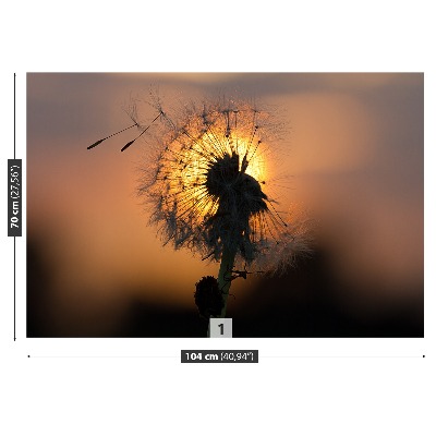 Motivtapete Dandelion sonne