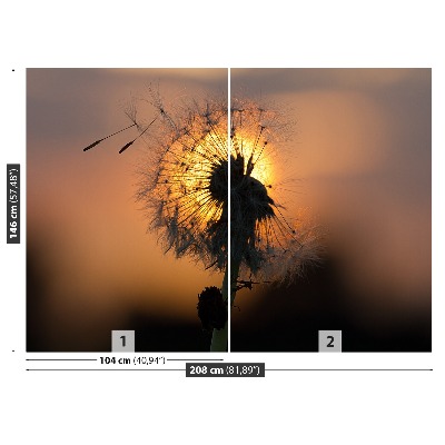 Motivtapete Dandelion sonne