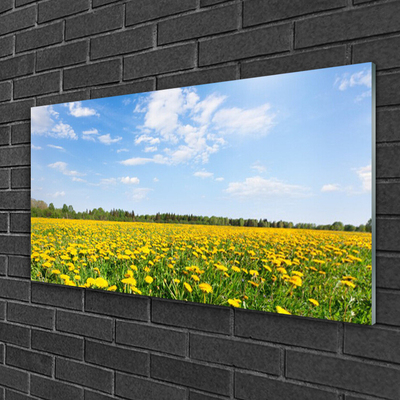 Acrylglasbilder Löwenzahn Wiese Landschaft