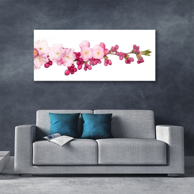 Acrylglasbilder Blüten Zweig Pflanzen