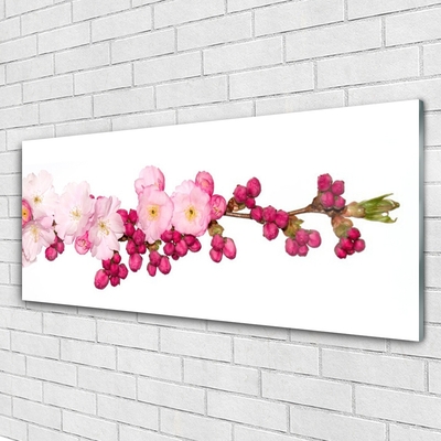 Acrylglasbilder Blüten Zweig Pflanzen