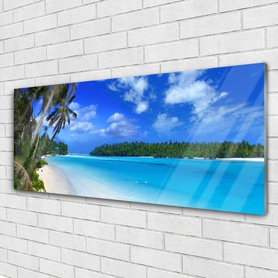 Acrylglasbilder Strand Palmen Südsee Landschaft