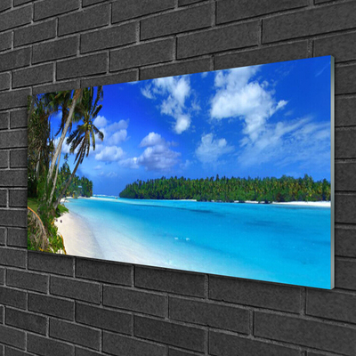 Acrylglasbilder Strand Palmen Südsee Landschaft