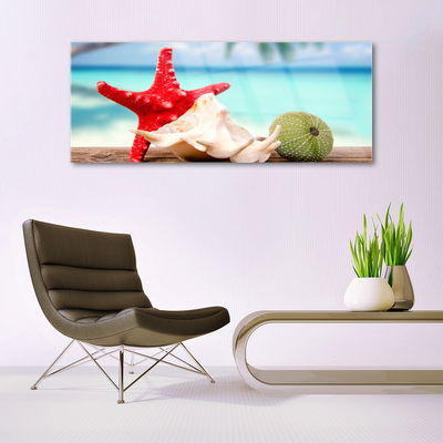 Acrylglasbilder Südsee Seestern Muscheln Kunst