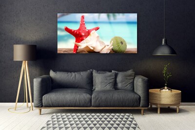 Acrylglasbilder Südsee Seestern Muscheln Kunst