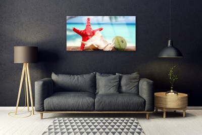 Acrylglasbilder Südsee Seestern Muscheln Kunst