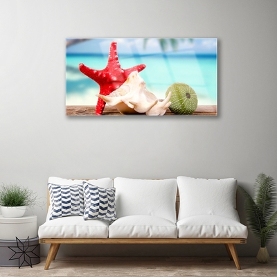 Acrylglasbilder Südsee Seestern Muscheln Kunst