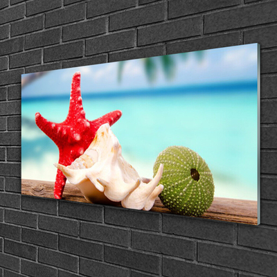Acrylglasbilder Südsee Seestern Muscheln Kunst