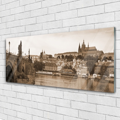Acrylglasbilder Prag Brücke Landschaft