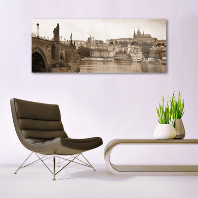 Acrylglasbilder Prag Brücke Landschaft