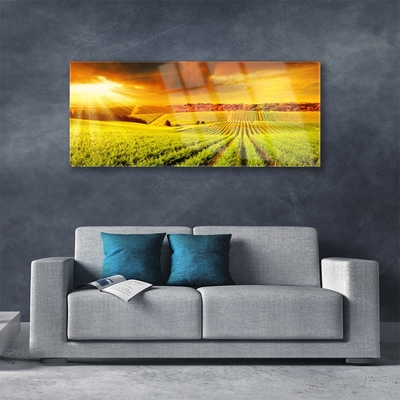 Acrylglasbilder Feld Acker Sonnenuntergang Landschaft