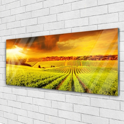 Acrylglasbilder Feld Acker Sonnenuntergang Landschaft