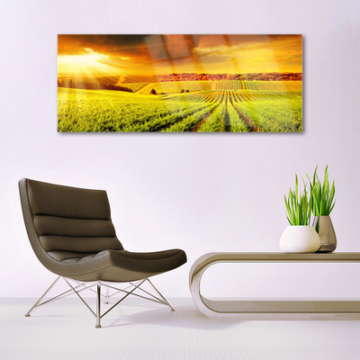 Acrylglasbilder Feld Acker Sonnenuntergang Landschaft