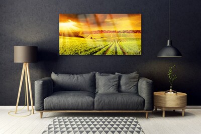 Acrylglasbilder Feld Acker Sonnenuntergang Landschaft