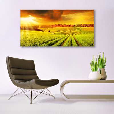 Acrylglasbilder Feld Acker Sonnenuntergang Landschaft