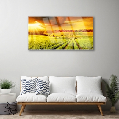 Acrylglasbilder Feld Acker Sonnenuntergang Landschaft