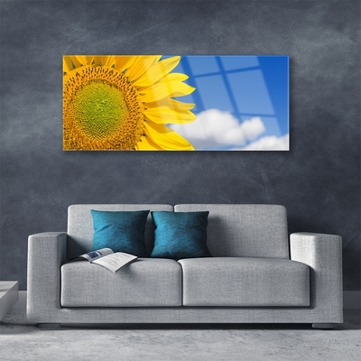 Acrylglasbilder Sonnenblume Wolken Pflanzen