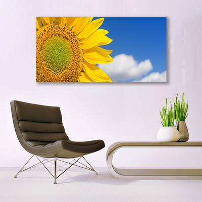 Acrylglasbilder Sonnenblume Wolken Pflanzen