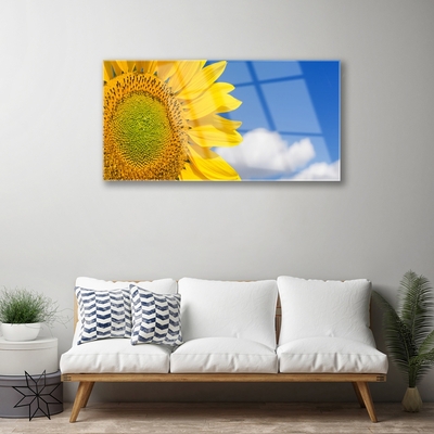 Acrylglasbilder Sonnenblume Wolken Pflanzen