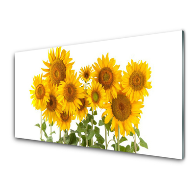 Acrylglasbilder Sonnenblumen Pflanzen