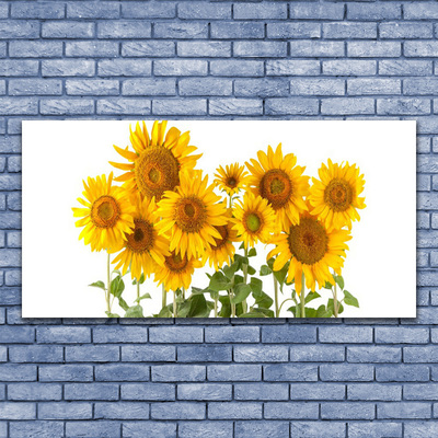 Acrylglasbilder Sonnenblumen Pflanzen