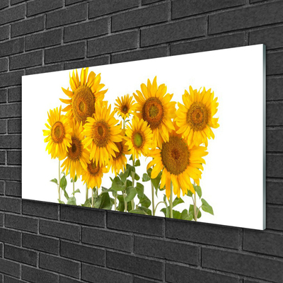 Acrylglasbilder Sonnenblumen Pflanzen