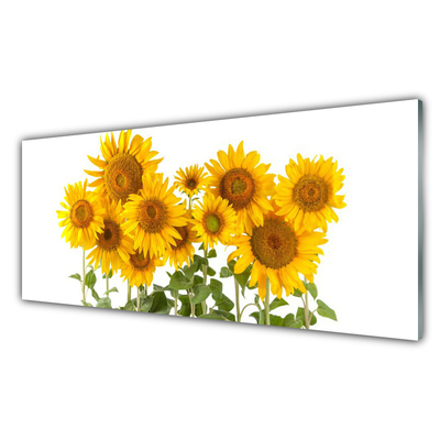 Acrylglasbilder Sonnenblumen Pflanzen