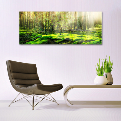 Acrylglasbilder Moos Wald Natur