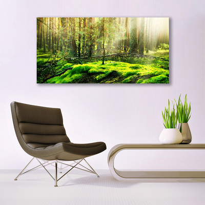 Acrylglasbilder Moos Wald Natur