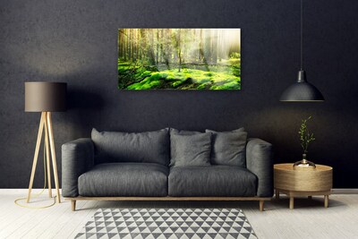 Acrylglasbilder Moos Wald Natur