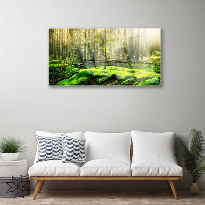 Acrylglasbilder Moos Wald Natur