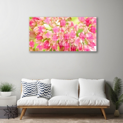 Acrylglasbilder Blüten Blumen Pflanzen